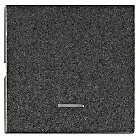 Schrack  Wippschalter Visio S 50 mit Linse