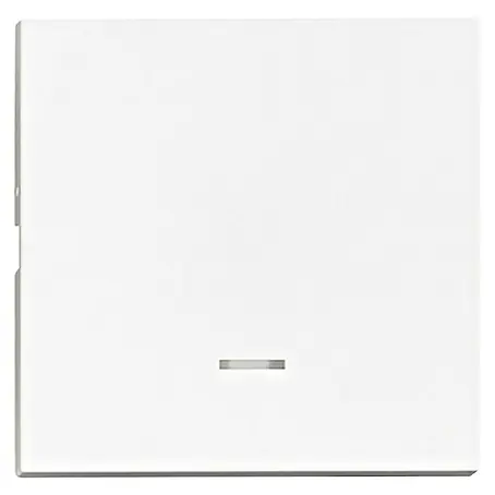 Schrack  Wippschalter Visio S 50 mit Linse