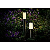 Garden Lights Sokkellamp voor buiten Lunia 12V Zwart (12 V, 1,8 W, Hoogte: 440 mm, Antraciet) | BAUHAUS