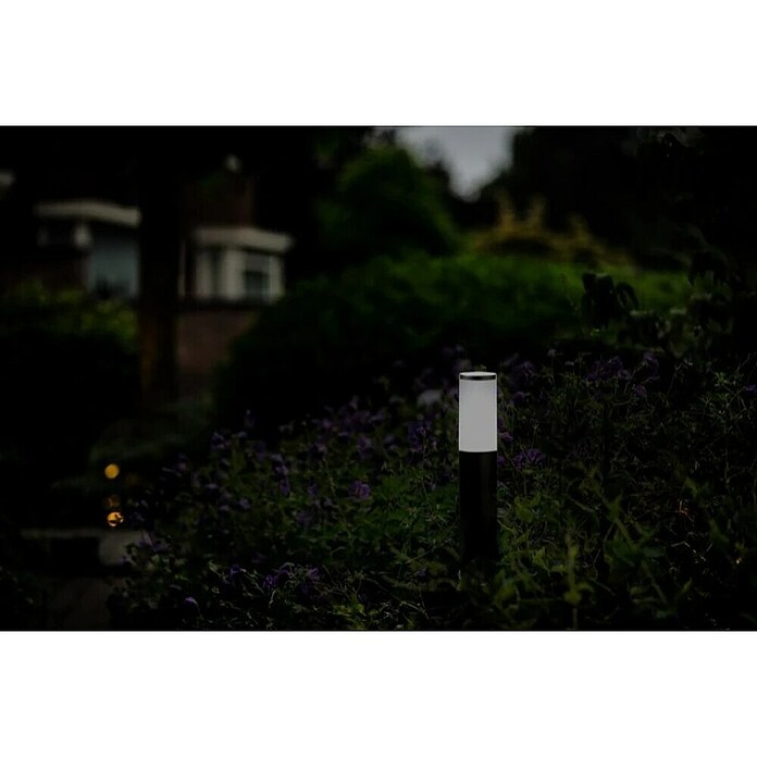 Garden Lights Sokkellamp voor buiten Lunia 12V Zwart (12 V, 1,8 W, Hoogte: 440 mm, Antraciet) | BAUHAUS