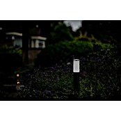 Garden Lights Sokkellamp voor buiten Lunia 12V Zwart (12 V, 1,8 W, Hoogte: 440 mm, Antraciet) | BAUHAUS