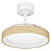 Eglo Deckenventilator Torreya 
