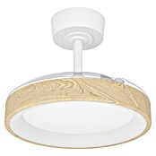 Eglo Deckenventilator Torreya (Weiß, Eiche, 77 cm) | BAUHAUS