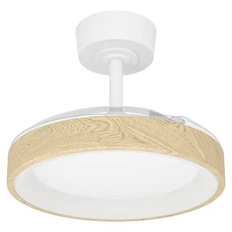 Eglo  Deckenventilator Torreya