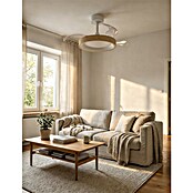 Eglo Deckenventilator Torreya (Weiß, Eiche, 77 cm) | BAUHAUS
