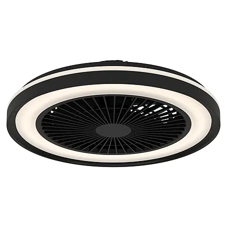 Eglo  Deckenventilator SintAndré