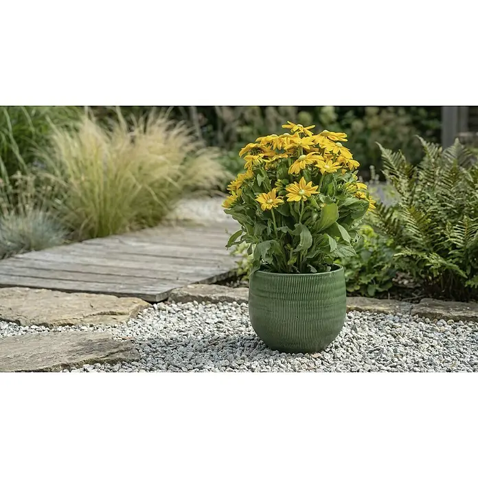 A.H.G. Maceta para planta Amora - Dimensiones externas (Ø x Al): 34 x 32 cm, Cerámica, Verde - Maceta de cerámica verde acanalada con flores amarillas en un jardín.