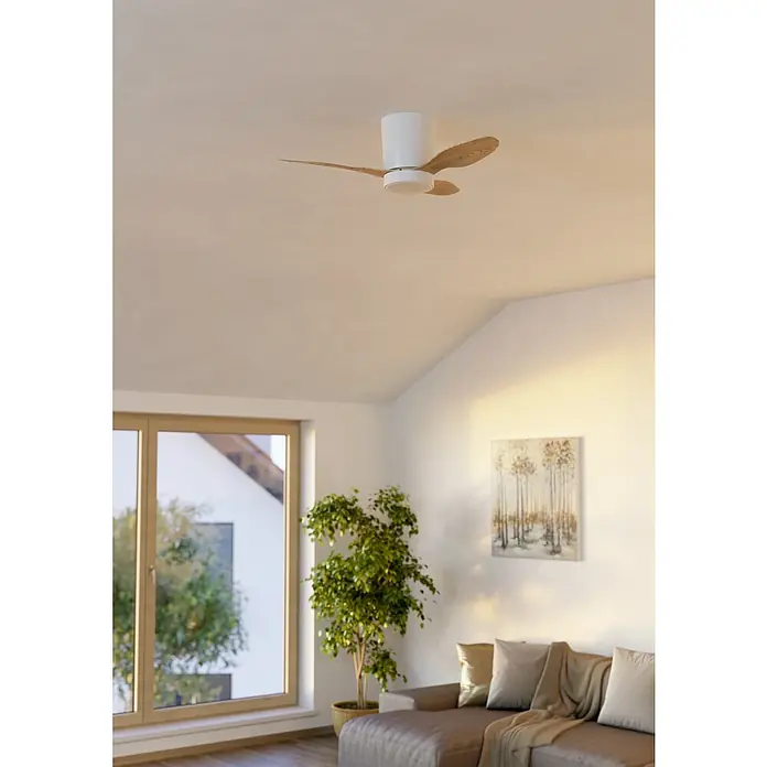 Eglo Deckenventilator Baracarès - Weiß, Eiche, 91 cm - Weißer Deckenventilator mit hellen Holzflügeln, an einer hellen Decke in einem modernen Raum installiert.