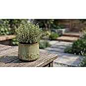 Mica Decorations Übertopf Mylo (Außenmaß (Ø x H): 16 x 13 cm, Keramik, Grün) | BAUHAUS