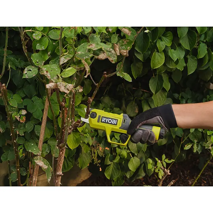Ryobi Akku-Astschere RY4SCA-120 - 4 V, 1 Akku, 2 Ah, Max. Aststärke: 13 mm - Behandschuhte Hand nutzt gelbe und schwarze Ryobi Elektroschere zum Schneiden eines dornigen Astes.