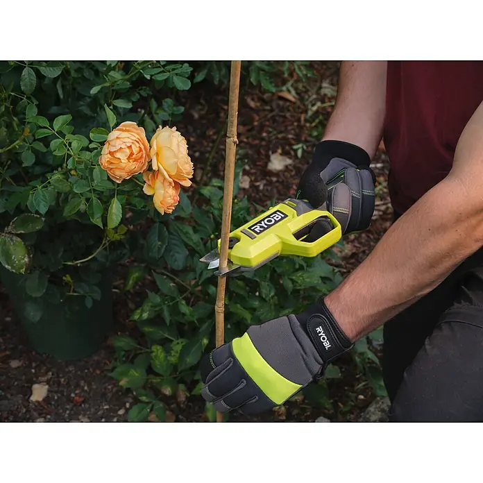 Ryobi Akku-Astschere RY4SCA-120 - 4 V, 1 Akku, 2 Ah, Max. Aststärke: 13 mm - Person in Ryobi-Handschuhen benutzt gelb-schwarze Ryobi-Elektroschere zum Schneiden eines Bambusstabs im Garten.