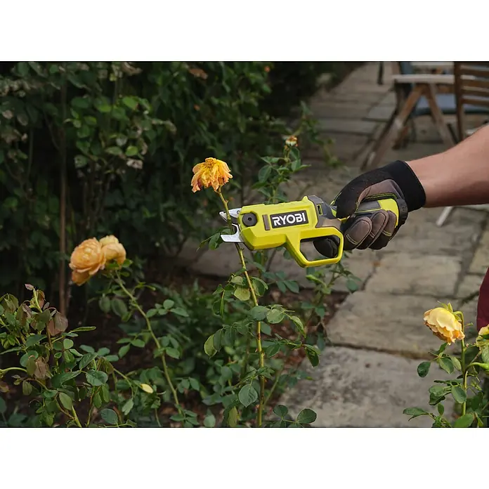 Ryobi Akku-Astschere RY4SCA-120 - 4 V, 1 Akku, 2 Ah, Max. Aststärke: 13 mm - Gelbe und graue Ryobi Akku-Astschere in behandschuhter Hand, die eine gelbe Rose im Garten schneidet.