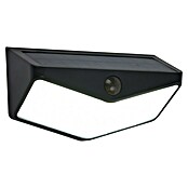 Lutec Aplique solar LED para exterior Wings (Potencia por luz: 3,7 W, Blanco frío, Temperatura del color: 5.000 K, 500 lm, Sensor crepuscular) | BAUHAUS