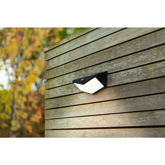 Lutec Aplique solar LED para exterior Wings (Potencia por luz: 3,7 W, Blanco frío, Temperatura del color: 5.000 K, 500 lm, Sensor crepuscular) | BAUHAUS