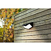 Lutec Aplique solar LED para exterior Wings (Potencia por luz: 3,7 W, Blanco frío, Temperatura del color: 5.000 K, 500 lm, Sensor crepuscular) | BAUHAUS