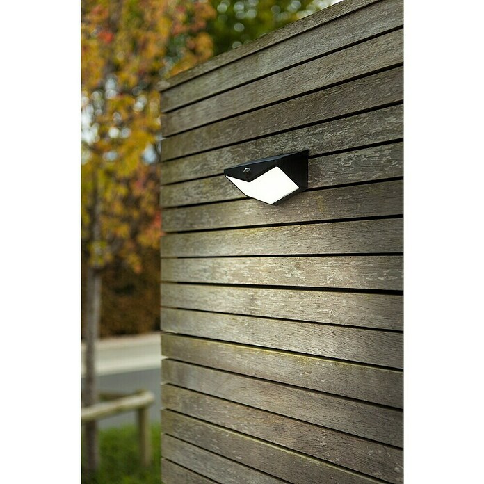 Lutec Aplique solar LED para exterior Wings (Potencia por luz: 3,7 W, Blanco frío, Temperatura del color: 5.000 K, 500 lm, Sensor crepuscular) | BAUHAUS