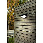 Lutec Aplique solar LED para exterior Wings (Potencia por luz: 3,7 W, Blanco frío, Temperatura del color: 5.000 K, 500 lm, Sensor crepuscular) | BAUHAUS