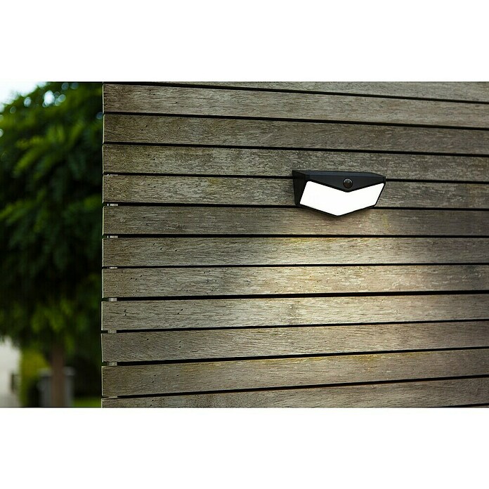 Lutec Aplique solar LED para exterior Wings (Potencia por luz: 3,7 W, Blanco frío, Temperatura del color: 5.000 K, 500 lm, Sensor crepuscular) | BAUHAUS