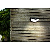 Lutec Aplique solar LED para exterior Wings (Potencia por luz: 3,7 W, Blanco frío, Temperatura del color: 5.000 K, 500 lm, Sensor crepuscular) | BAUHAUS
