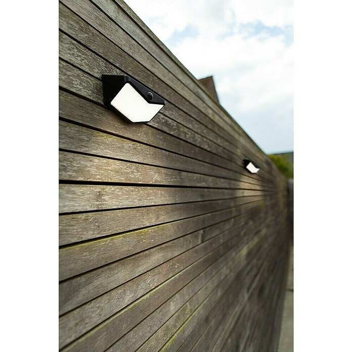 Lutec Aplique solar LED para exterior Wings (Potencia por luz: 3,7 W, Blanco frío, Temperatura del color: 5.000 K, 500 lm, Sensor crepuscular) | BAUHAUS
