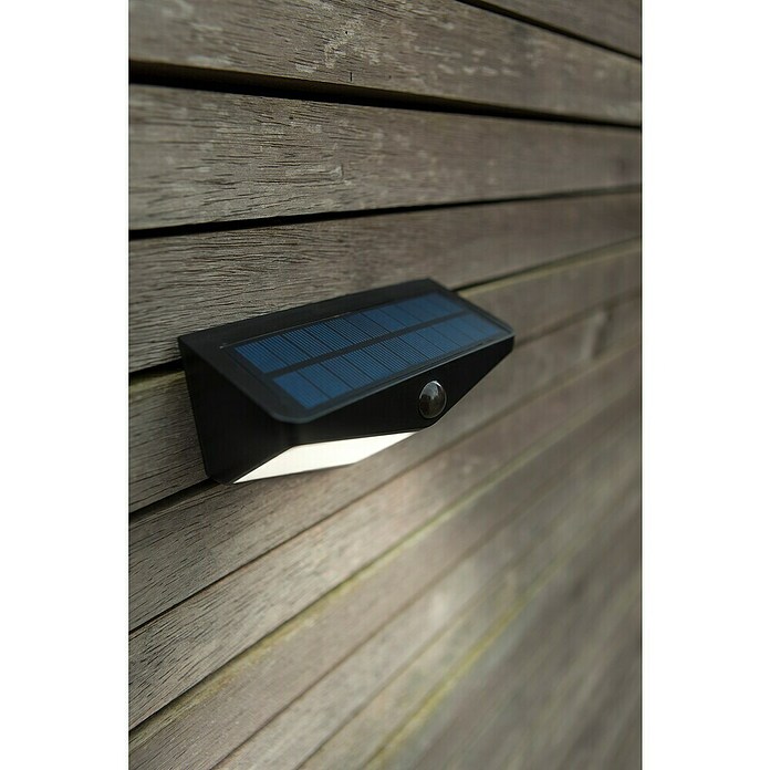 Lutec Aplique solar LED para exterior Wings (Potencia por luz: 3,7 W, Blanco frío, Temperatura del color: 5.000 K, 500 lm, Sensor crepuscular) | BAUHAUS