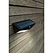 Lutec Aplique solar LED para exterior Wings (Potencia por luz: 3,7 W, Blanco frío, Temperatura del color: 5.000 K, 500 lm, Sensor crepuscular) | BAUHAUS
