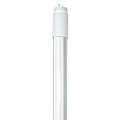 Müller-Licht LED-Röhre (18 W, A+, Länge: 120 cm, Kaltweiß, 1.700 lm)