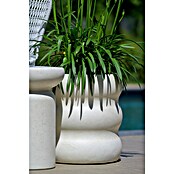 Plantenpot Tennessee (Buitenmaat (Ø x h): 32 x 34 cm, Samengesteld materiaal, Ecru) | BAUHAUS