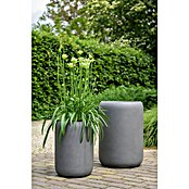 Plantenpot Edinburgh (Buitenmaat (Ø x h): 32 x 45 cm, Samengesteld materiaal, Antraciet) | BAUHAUS