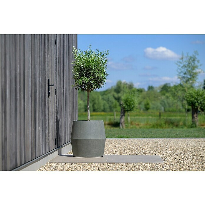 Plantenpot Oklahoma (Buitenmaat (Ø x h): 42 x 43 cm, Samengesteld materiaal, Groen) | BAUHAUS