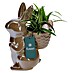 Piardino Zimmerpflanzen-Arrangement 