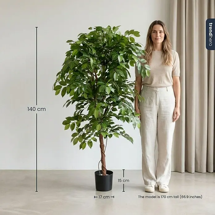 Florora Kunstpflanze Ficus Ranke - Höhe: 140 cm, Holz