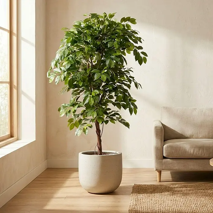 Florora Kunstpflanze Ficus Ranke - Höhe: 140 cm, Holz