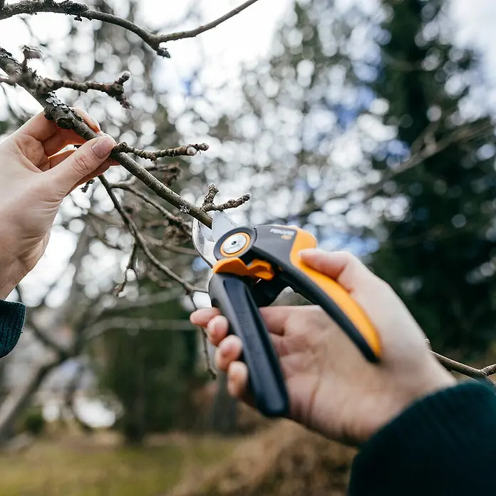 Fiskars X-series Gartenschere - Bypass, Max. Aststärke: 24 mm - Nahaufnahme einer schwarzen und orangefarbenen Gartenschere, die von einer Person gehalten wird, um einen Baumast zu schneiden.
