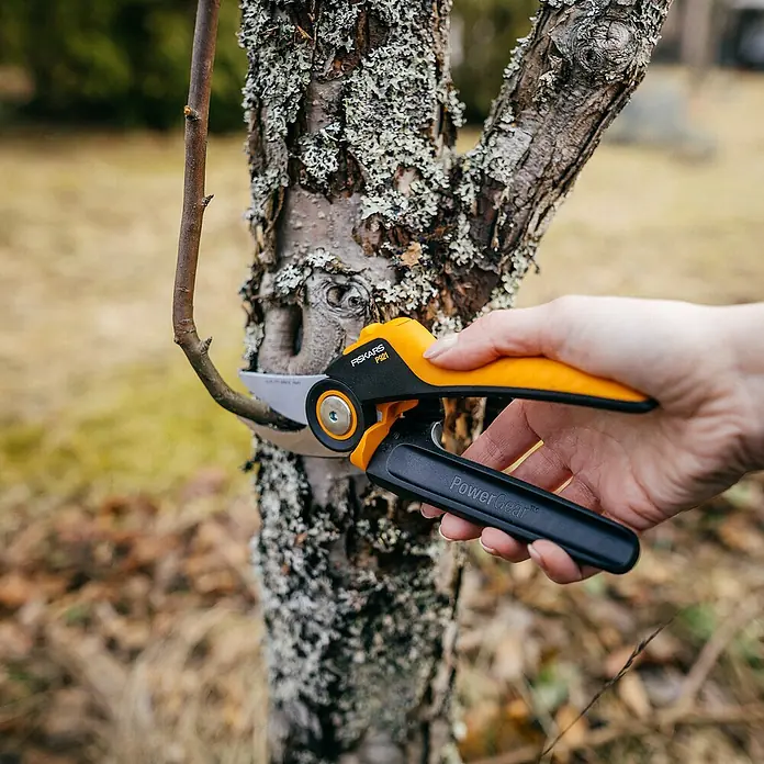 Fiskars X-series Gartenschere - Bypass, Max. Aststärke: 24 mm - Orange-schwarze Fiskars P921 PowerGear Astschere in einer Hand, die einen Ast schneidet.