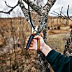 Fiskars X-series Gartenschere Bypass P921 (Bypass, Max. Aststärke: 24 mm) | BAUHAUS