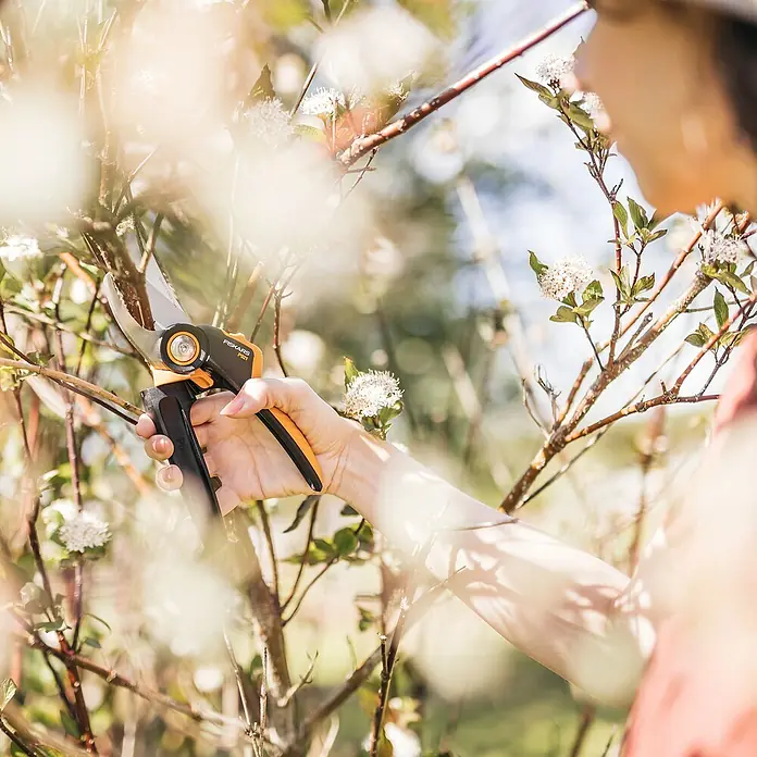 Fiskars X-series Gartenschere - Bypass, Max. Aststärke: 24 mm - Person schneidet mit orange-schwarzer Fiskars Gartenschere einen Ast von einem blühenden Strauch.