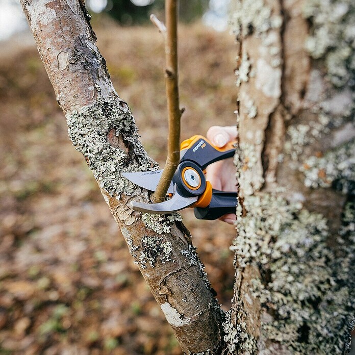 Fiskars X-series Gartenschere Bypass P921 (Bypass, Max. Aststärke: 24 mm) | BAUHAUS