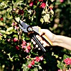 Fiskars X-series Gartenschere Bypass P921 (Bypass, Max. Aststärke: 24 mm) | BAUHAUS
