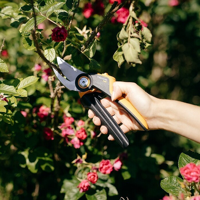 Fiskars X-series Gartenschere Bypass P921 (Bypass, Max. Aststärke: 24 mm) | BAUHAUS