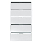 Cómoda 007845A (L x An x Al: 40 x 60 x 110 cm, Blanco Artik, Número de cajones: 5 ud.) | BAUHAUS