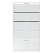 Cómoda 007845A (L x An x Al: 40 x 60 x 110 cm, Blanco Artik, Número de cajones: 5 ud.) | BAUHAUS