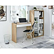 Conjunto de muebles Noa (Roble Nodi/Blanco Artik, 2 pzs.) | BAUHAUS