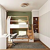Arte confort Ventilador de techo Siena (Blanco/Madera, 48,9 cm, 36 W, RGB) | BAUHAUS