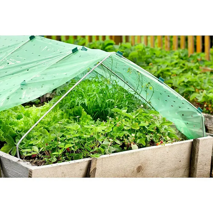 Windhager Folientunnel Komplettset XL - L x B: 10 x 1,5 m, Grün - Grüne perforierte Kunststoffabdeckung und Metallbügel bilden ein Mini-Gewächshaus über einem Hochbeet mit Erdbeeren und Salat.