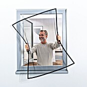 Windhager Insektenschutzfenster Pop-up Screen (B x H: 100 x 120 cm, Montage Insektengitter: Kleben) | BAUHAUS
