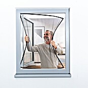 Windhager Insektenschutzfenster Pop-up Screen (B x H: 100 x 120 cm, Montage Insektengitter: Kleben) | BAUHAUS