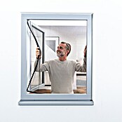 Windhager Insektenschutzfenster Pop-up Screen (B x H: 100 x 120 cm, Montage Insektengitter: Kleben) | BAUHAUS
