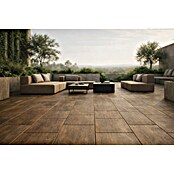 Terrassenfliese Foresta (40 x 80 x 2 cm, Scuro, Matt) | BAUHAUS