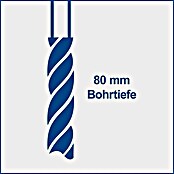 Scheppach Tischbohrmaschine TBM300 Vario (750 W, Leerlaufdrehzahl: 1 450 U/min, Spannweite Bohrfutter: 16 mm) | BAUHAUS